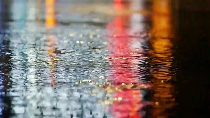 Welcome to Music Without Borders!