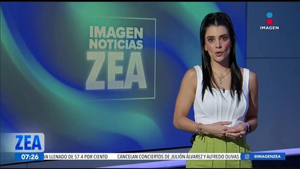 ¿Cuál es la función de las almohadillas de los perros?