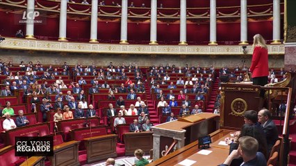 Ça vous regarde - Eurodéputés RN : le procès d'un système