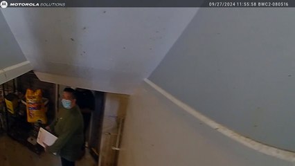 Over 3 dozen animals rescued from hoarder's home in Pontiac