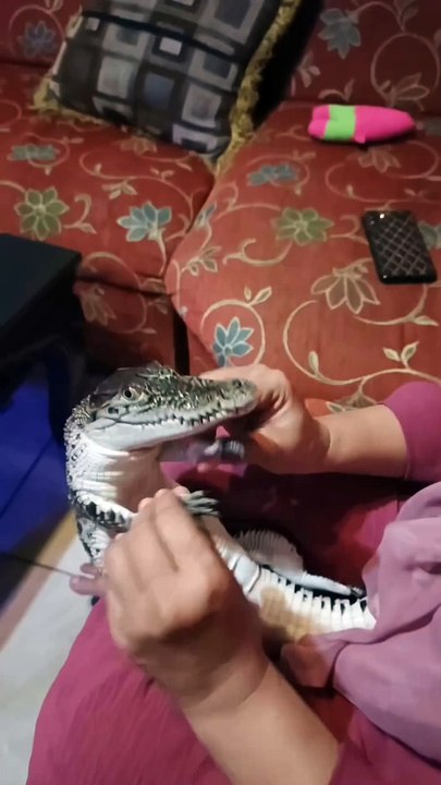 crocodile cute