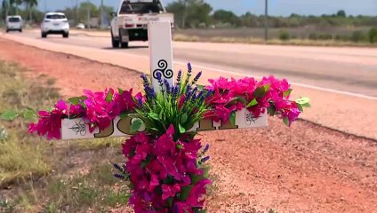 Josh Warneke's mother Ingrid Bishop tells inquest 'system failures' let down her family