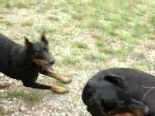 voila mes garçon le bonheur