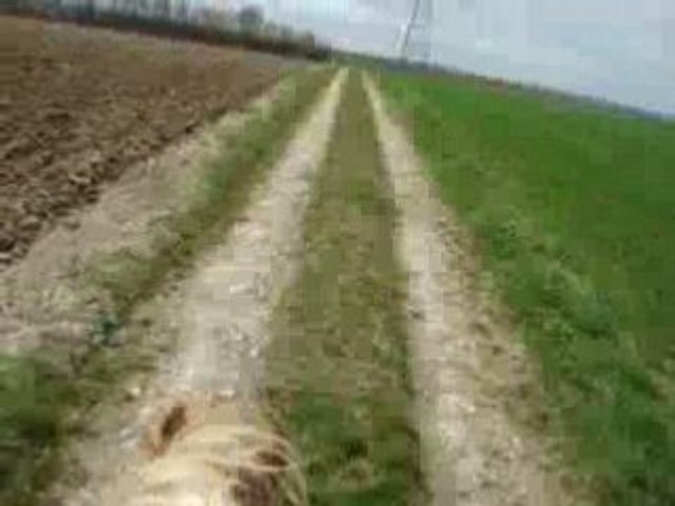 Petit galop ac magnum vers reiningue