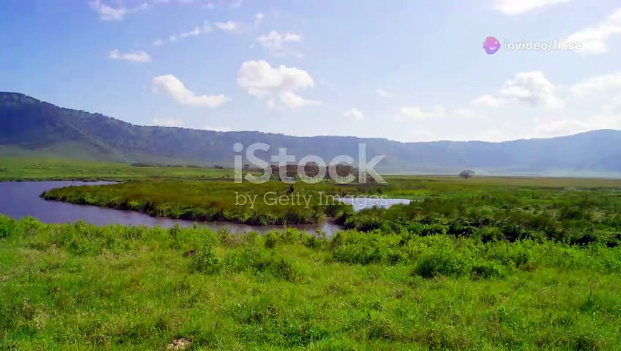 10 Fun Facts About Tanzania You Didn't Know!