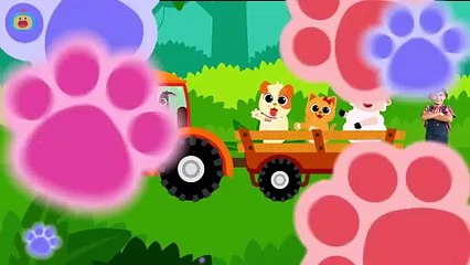 Baby Shark Animals - Dance Song for Kids