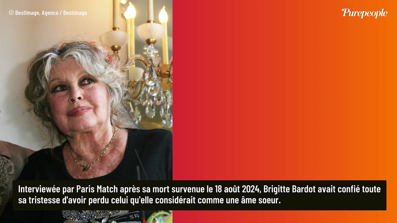 "Alain est beau certes mais..." : Ces mots directs de Brigitte Bardot sur Alain Delon lors de leur première rencontre