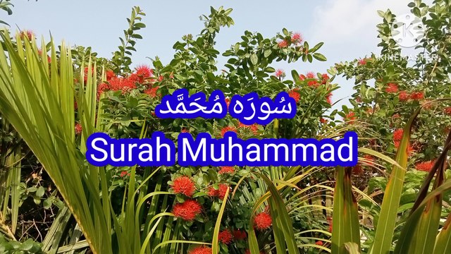 Surah Muhammad | quran recitation | learn quran | quran pak ki tilawat |