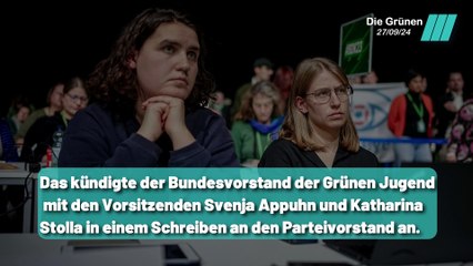 Grüne Jugend tritt geschlossen aus der Partei aus