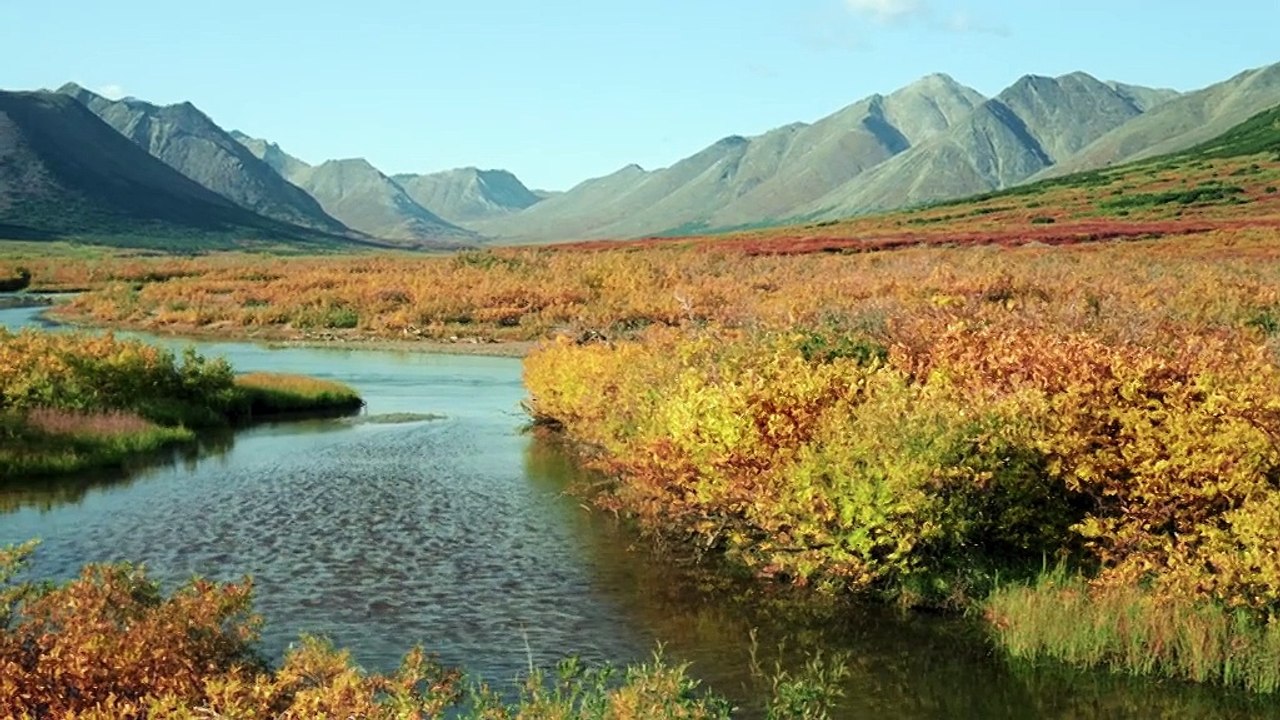 Frozen Planet.S1.E4 ∙  Autumn