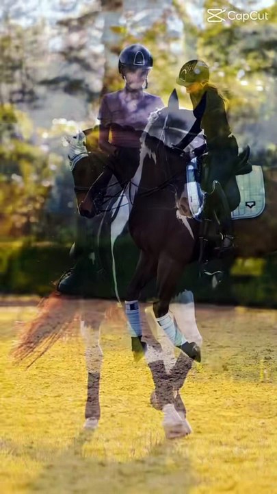 Horses lover's