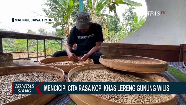 Sudah Pernah Cicipi Cita Rasa Kopi Khas Lereng Gunung Wilis di Madiun? Di Sini Tempatnya!