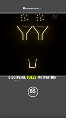 Discipline Drives Motivation 💪