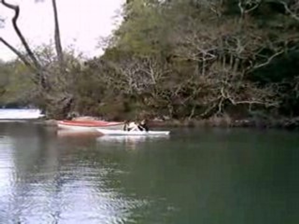 Kayak nat