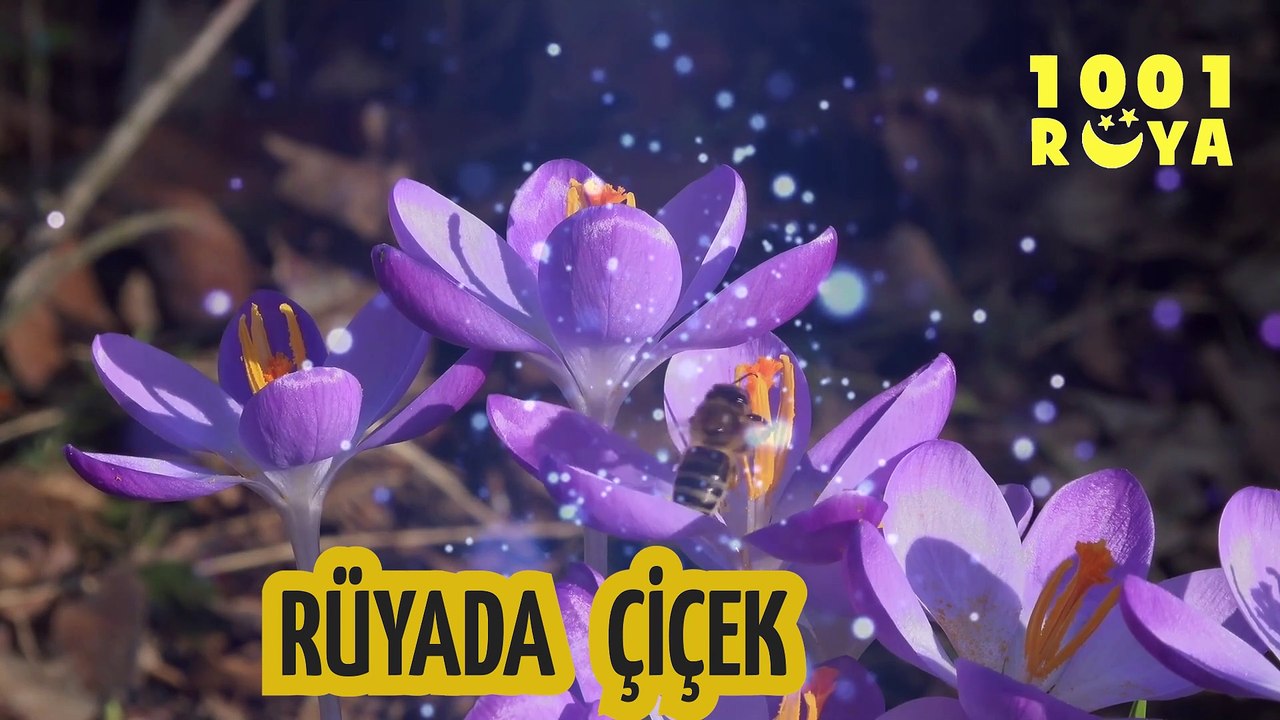 RÜYADA ÇİÇEK GÖRMEK