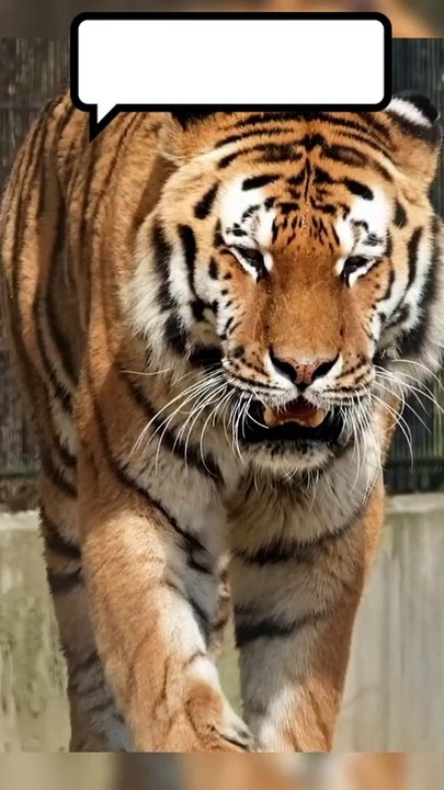 Bottom Loading & Unloading arm Skid for Ammonia-LNG-LPG- Butadiene-Butane-Butene Truck Bottom Loading Arm & Skid from Premier China Loading Arm Manufacturer/Supplier/Factory |Lianyungang Teampower Technology & Development Co Ltd | https://lygteampower.com