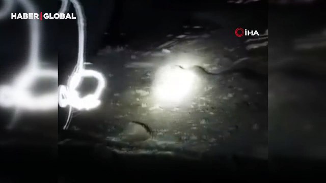 Isırığı bir insanı öldürmeye yetiyor: Elazığ’da 2 metrelik engerek yılanı görüntülendi