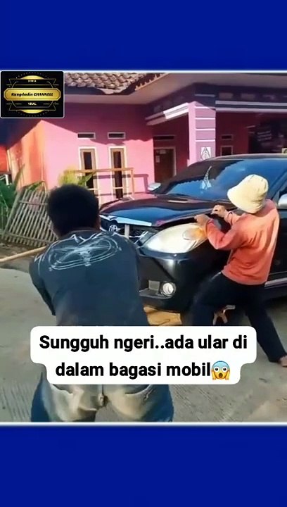 Ada ular di dalam mobil