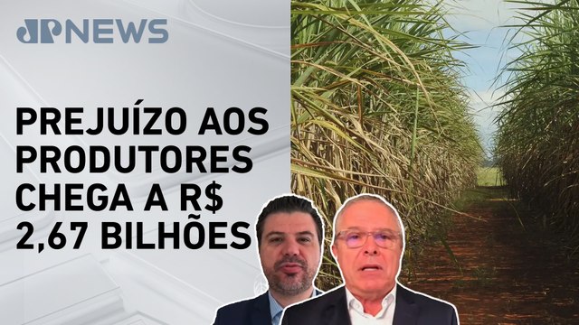 Queimadas no Brasil estimam quebra de 15% na safra de cana-de-açúcar; Acacio e Diogo da Luz analisam