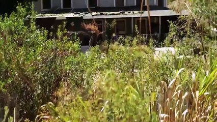 TOXINA  PELICULA DE ACCIÓN EN ESPANOL LATINO