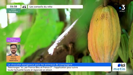 01/10/2024 - ICI Matin France Bleu Occitanie en vidéo