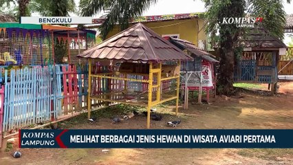 Melihat Berbagai Jenis Hewan di Wisata Aviari Pertama di Bengkulu