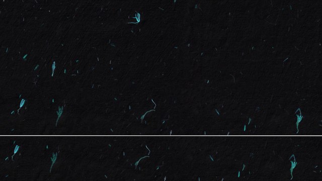 10 Turquoise Flowers Black Paper Textures