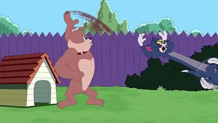 Tom & Jerry Show  Animali preistorici