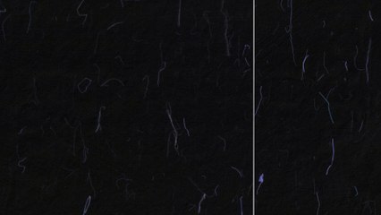 10 Blue Fibers Black Paper Textures