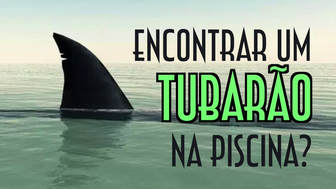 Encontrar um tubarão na piscina? - EMVB - Emerson Martins Video Blog 2017