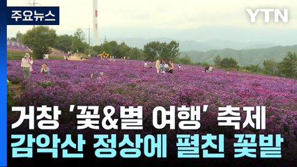 꽃과 별 함께 즐기는 가을 추억 여행 / YTN