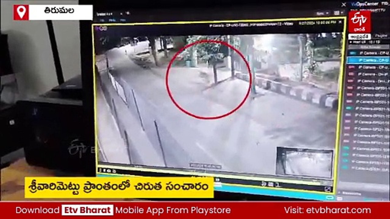 తిరుమలలో మళ్లీ చిరుత