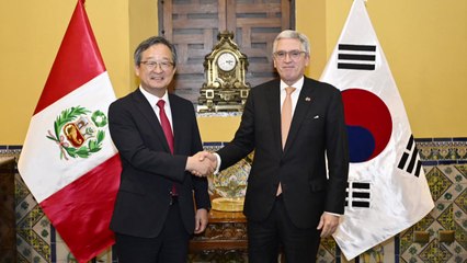 한-페루 고위정책협의회..."방산협력 확대 기대" / YTN