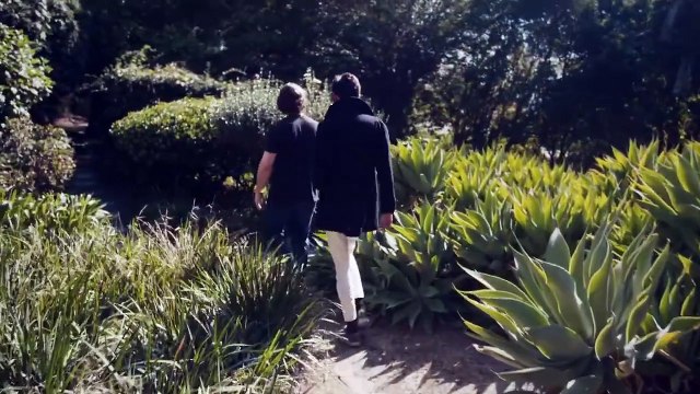 Shepherdess_ The Story of Salvia Divinorum - Hamilton s Pharmacopeia S01E03