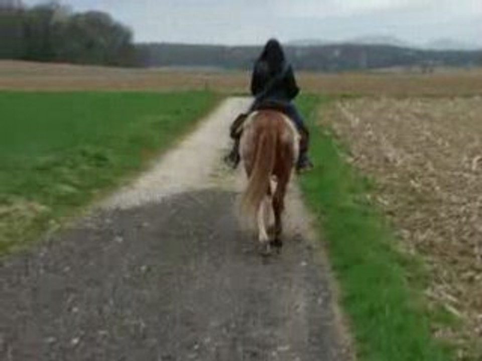 Au pas ac jack opium et magnum