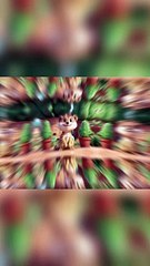 Cute Meerkat Pup_ Adventure in the Desert