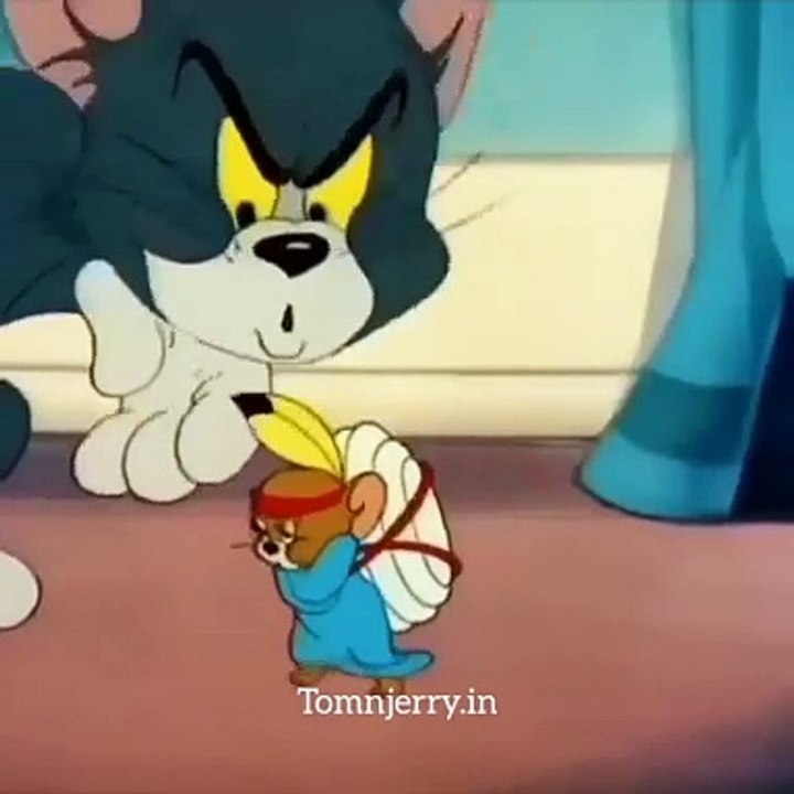 tom and jerry