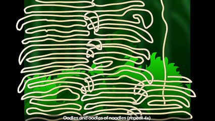 Noodles On My Back  Kids Rhymes