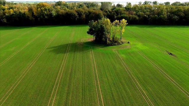 Empower Yourself with 'Rise and Glow' | Motivational Anthem for Overcoming Challenges