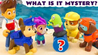 Paw Patrol Ryder and the Pups solve the mystery of the Surprise Package for Kids