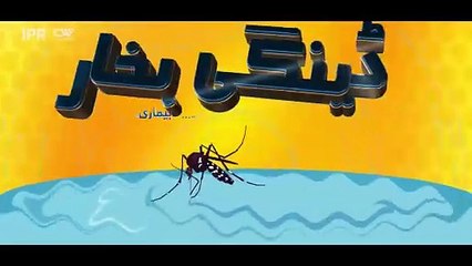 Dengue Virus Awareness Programme