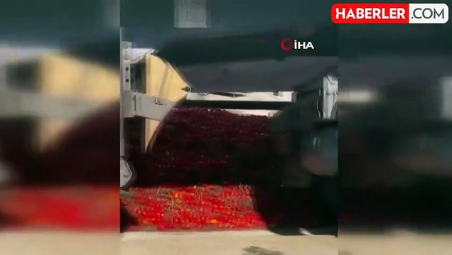 Manisa'da Hijyenik Olmayan Salça Üretimi Durduruldu