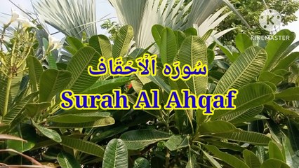 Surah Al Ahqaf | Quran recitation | quran tilawat | learn quran |