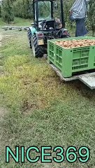 Farms and Agricultural land