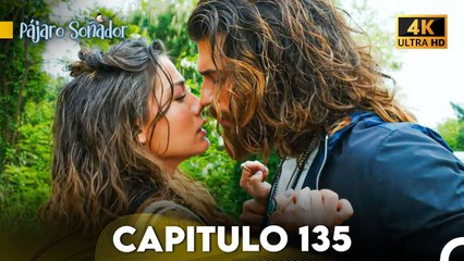 Pájaro Soñador Capítulo 135 (Doblado En Español 4K)