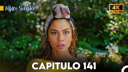 Pájaro Soñador Capítulo 141 (Doblado En Español 4K)