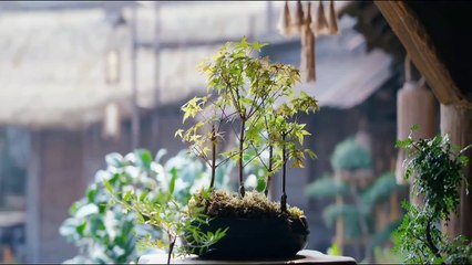 Liu Shui Tiao Tiao(2024)EP25