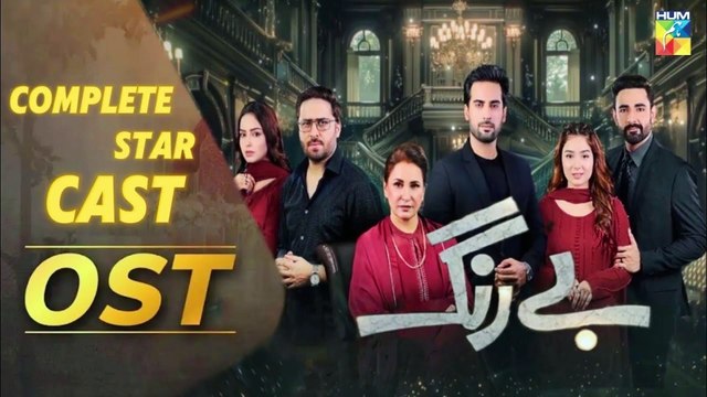 Tere Bina Bhi Kya Jeena - Be Rung OST [ Singer : Wajhi Farooki ] - HUM TV