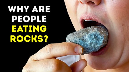 Food Facts That Will Leave You Hungry for More