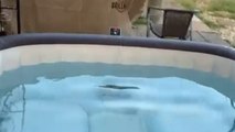 Boy’s gentle push sends his friend tumbling into the hot tub unexpectedly